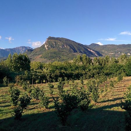 La Luna Nel Fiume Giffoni Valle Piana Luaran gambar